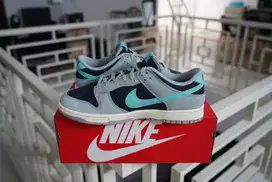 NIKE DUNK LOW RETRO PREMIUM LIGHT PUMICE GREEN FROST Authentic