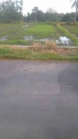 TANAH SAWAH VIEW MENOREH DEKAT LAPANGAN SUMBERARUM MOYUDAN JK13097