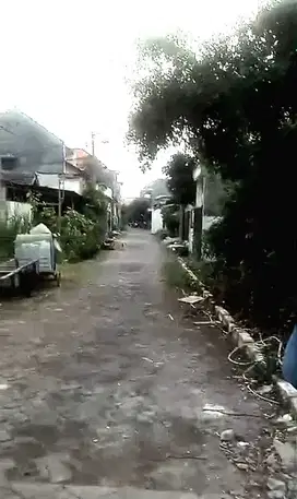 Tanah Bumi Wonorejo Asri Rungkut dekat semanggi mangrove