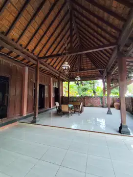 Dijual Rumah Klasik Joglo di Kawasan Wisata dan Kuliner Pleret, Bantul