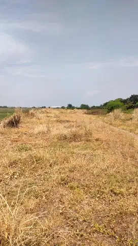 Disewakan Tanah Industri di jl raya Lingkar Timur Sidoarjo Jawa timur