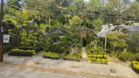 DIJUAL TANAH CIHIDEUNG (SEBELAH GREEN FOREST RESORT)