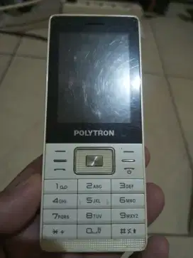 HP POLYTRON BISA TV