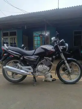 Suzuki thunder 125