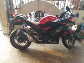 Kawasaki ninja 250 f1