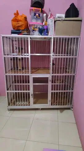 Kandang kucing alumunium ukuran 120 x 60 x 120.
Kokoh tak tertandingi