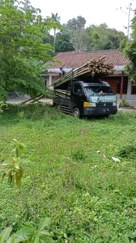 Pring Bambu proyek