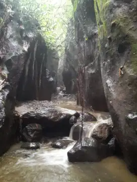 Tanah view sungai dan jungle 30 menit dari Ubud Bali