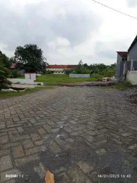 Kapling murah Mangunharjo Tembalang 148m² - 300m² hanya 2,5jt/m²