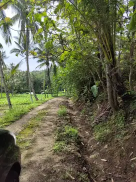 Tanah homestay dekat Pantai Klayar