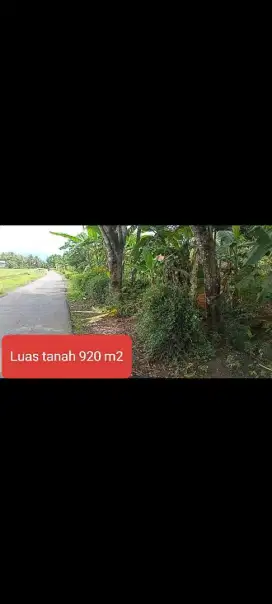 Jual tanah SHM pinggir jalan 920 m2