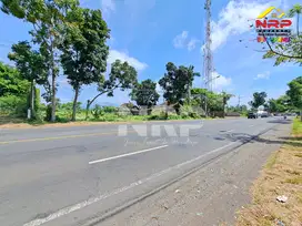 Dijual Tanah Luas di Utara Polsek Kabat - Banyuwangi