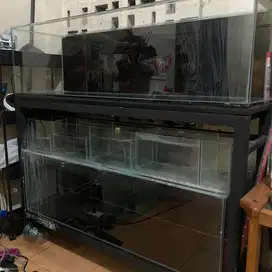 aquarium 2 tingkat 100cm 1 meter rak holo