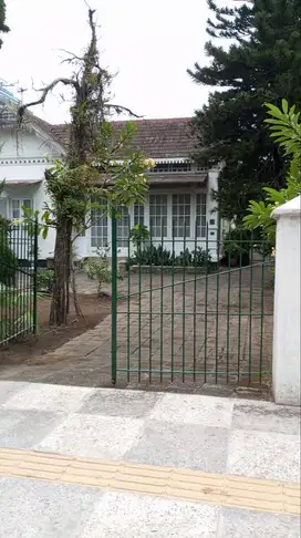 Jual rumah heritage klasik lokasi strategis dengan taman terawat jogja