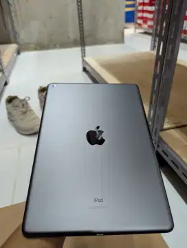 iPad 9th Gen 64Gb