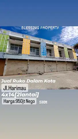 ruko jl harimau murah