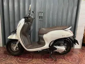 Honda scoopy new kyles 2024