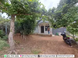 rumah type 36/160m2 murah seharga tanah di wengga trikora