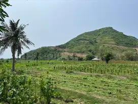 Tanah kavling murah dekat pantai lancing dan tampah lombok