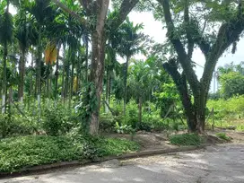 Tanah luas di tengah kota,  Jondul Baru, Pekanbaru, Riau