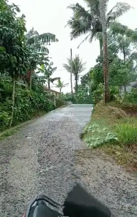 Sawah pinggir jalan pemandangan bagus Lt 1200 m² cilingga Darangdan