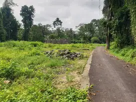 FOR LEASE VACANT LAND IN TEGALLALANG - UBUD - BALI