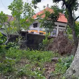 Dijual tanah pandak gede jln pantai nyanyi utara