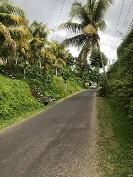 Tanah Plot Kecil Link Resort Cempaka Kelusa Payangan Ubud Bali