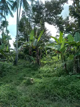 tanah murah buc di perean baturiti tabanan bali