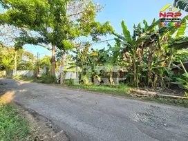 Dijual Tanah Sawah ditepi Jl.Tratas - Muncar, Banyuwangi