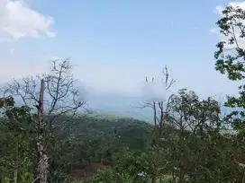 Tanah full view laut dan kota singaraja kontur terasering meninggi