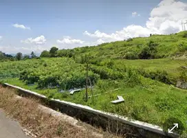 Tanah kebun di pengilon temanggung