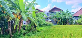 Tanah area Kayu Tulang Canggu view sawah Kuta Utara cocok untuk villa