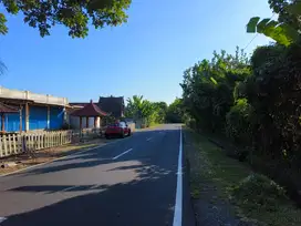 tanah murah datar view sawah  akse s jalan propinsi di bali