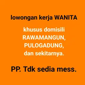 Dibutuhkan WANITA karyawan laundry pinter setrika