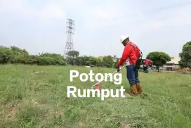 Taman Mini, Potong Rumput, Tebang Pohon, Renovasi