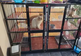 Kandang Kucing Aluminium