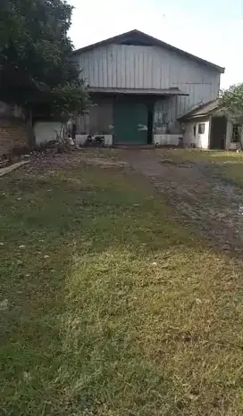Gudang di sewakan lt 1600m lb 600m lokasi jl padat karya , kec Curug