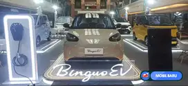[Mobil Baru] Wuling Binguo EV TDP 5 Juta Bawa Pulang