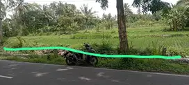 SAWAH PROSES PENGERINGAN DEKAT JALAN PALAGAN PAKEM SLEMAN JK13076