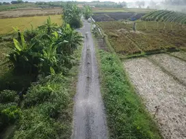 Kavling jalan kaki ke pantai Pasut Tabanan