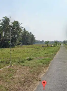 DIJUAL TANAH SAWAH DI MINGGIR SLEMAN DEKAT PASAR BALANGAN JK13100