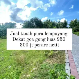 jual tanah pura lempuyang goa gong cocok untuk villa