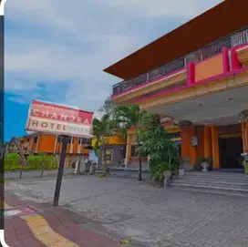 hotel di sewakan di denpasar bali 36 kamar dekat ke pantai sanur