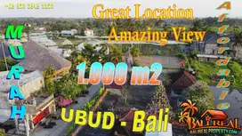 Affordable Property for Sale 1,000 sqm in Sukawati Ubud