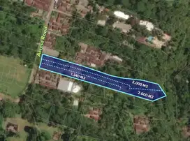 Roadside land with 5.340 sqm total size for sale in Calo, Gianyar