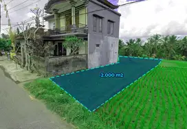 2000 sqm of vacant land in a commercial environment in Gianyar