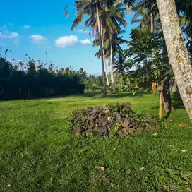 TANAH UBUD LOKASI STRATEGIS