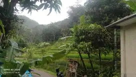 Sawah Murah Pinggir Jalan Dekat Wisata Kolam Renang Pabangbon Bogor