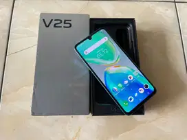 Vivo V25 5G 8/256